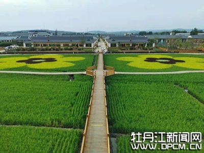 ef326b83-be38-4e5c-990a-50c9fc50141a.jpg