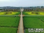 ef326b83-be38-4e5c-990a-50c9fc50141a.jpg